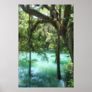 Recherche de inondation posters Arbres