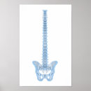 Recherche de moelle épinière posters Gros plan