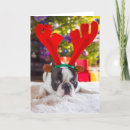 Recherche de french bulldog christmas cards Adorable