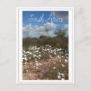 Search for wilds postcards Coast
