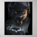 Recherche de panthère noire bébé Léopard noir