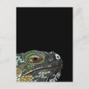 Search for iguana postcards Nature