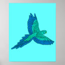 Recherche de perroquet bleu posters Turquoise