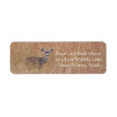 Search for mule return address labels Deer
