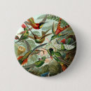 Recherche de colibri badges Nature