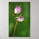 Recherche de growth posters Usa