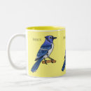 Search for blue jay birds mugs Cyanocitta cristata
