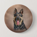 Recherche de berger badges Animaux
