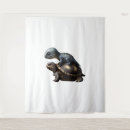 Search for beach save art Turtle