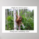 Search for wildlife conservation posters Animals