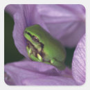 Search for tropical climate stickers Outdoors