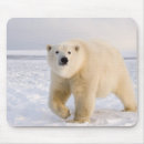 Search for arctic islands mousepads Polar bear