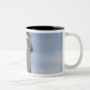 Recherche de portrait de cheval tasses Regarder l'appareil photo