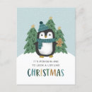 Recherche de pingouin humoristique cartes postales Drôle