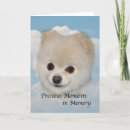 Search for dog pet sympathy cards Bereavement