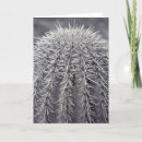 Search for prickly cards Desert