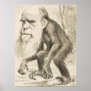 Recherche de charles darwin posters Evolution