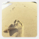 Search for maui hawaii stickers Sea