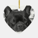 Recherche de chiot de bouledogue ornements Canin