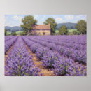 Search for french country posters Floral