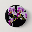 Recherche de macro de fleur badges Floraison