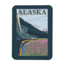 Search for fireweed magnets Alaska