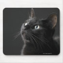 Recherche de museau tapis souris Animaux domestiques