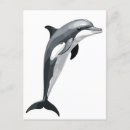 Search for vector postcards Nature