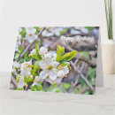 Search for tiny small cards Floral