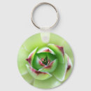 Search for succulent plants keychains Succulents