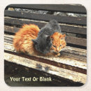 Recherche de felix chat maison deco Animaux
