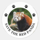 Search for red panda stickers Wildlife