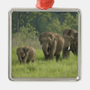 Search for indian elephant ornaments Jagdeep rajput