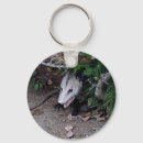 Search for possum keychains Nature