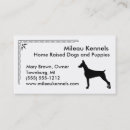 Search for dobe Canine