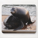 Recherche de lion tapis souris Mousepac