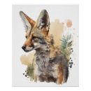 Recherche de coyotes posters Nature