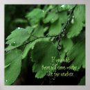 Search for raindrop posters Nature