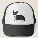 Search for corgi hats Dogs