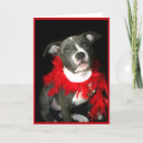 Search for boxer mom cards Animal