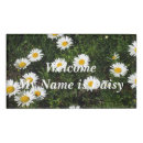 Search for daisy name tags Flowers