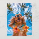 Search for cockerals postcards Dogs