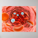 Recherche de biology posters Biomedical illustrations