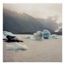 Search for ocean global posters Conservation