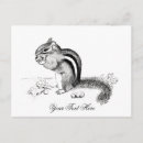 Recherche de tamia cartes postales Faune