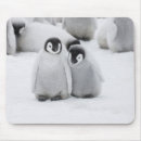 Recherche de pingouin bébé tapis souris Faune