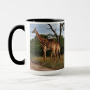Recherche de gros chat tasses Safari