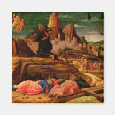 Search for agony magnets 15th