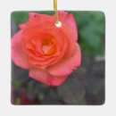 Search for coral ornaments Pink