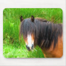 Recherche de poney mignon tapis souris Animaux